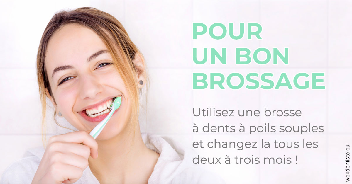 https://www.dr-grenard-orthodontie-gournay.fr/Pour un bon brossage 2