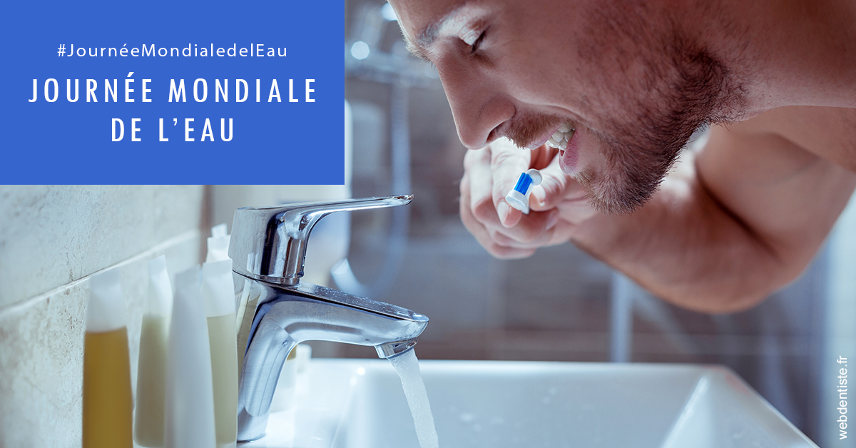 https://www.dr-grenard-orthodontie-gournay.fr/Journée de l'eau 2