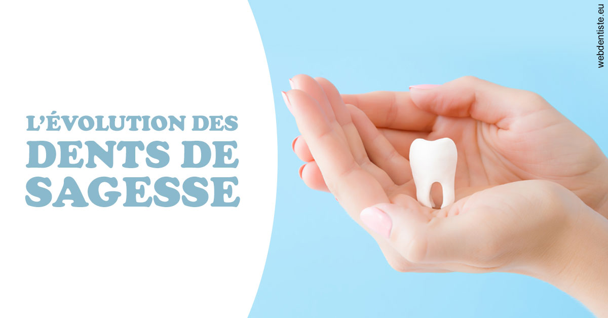 https://www.dr-grenard-orthodontie-gournay.fr/Evolution dents de sagesse 1