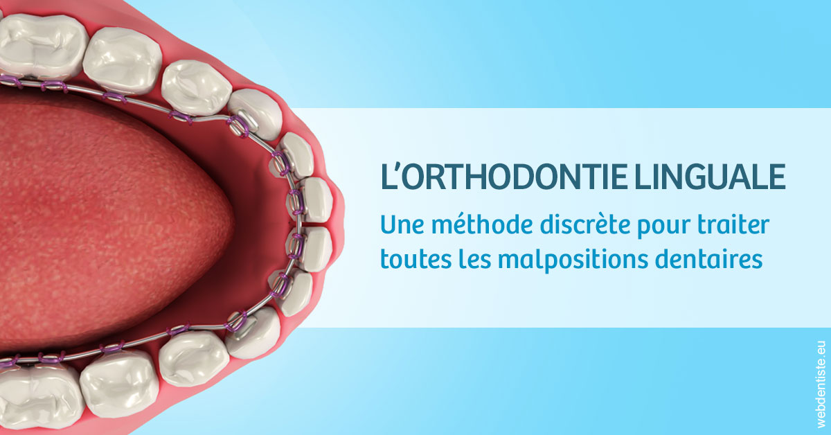 https://www.dr-grenard-orthodontie-gournay.fr/L'orthodontie linguale 1