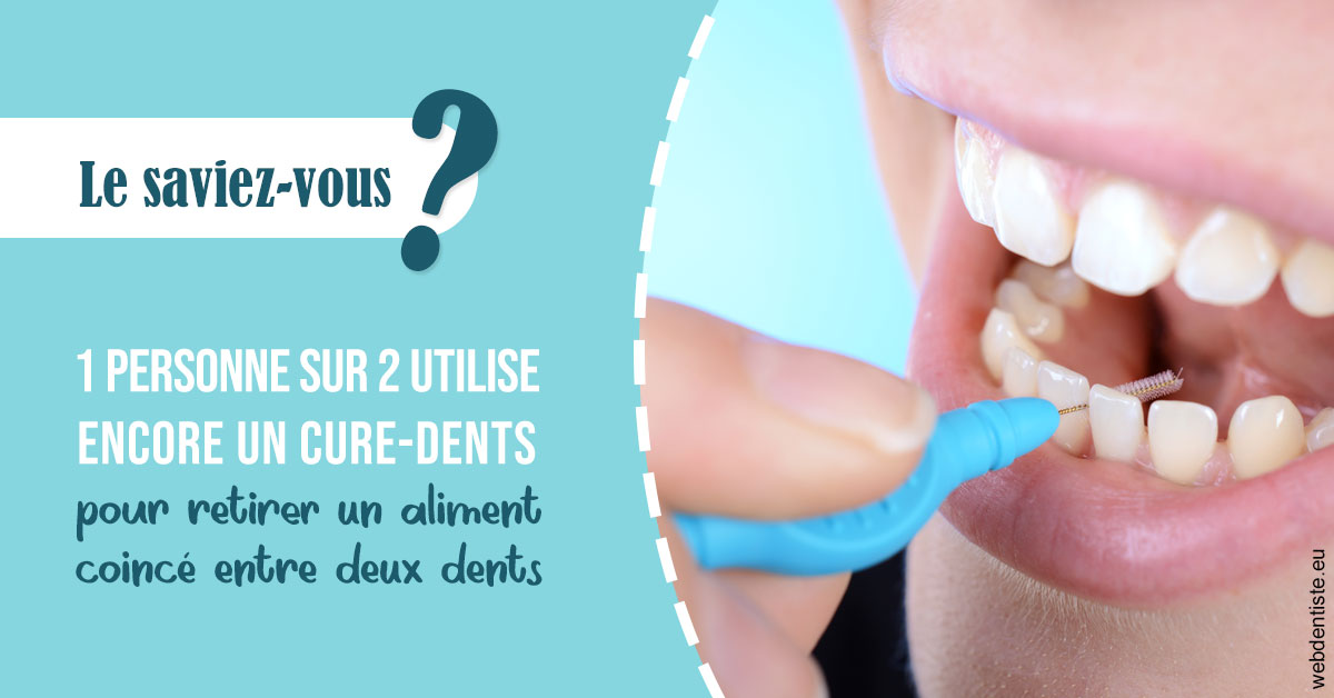 https://www.dr-grenard-orthodontie-gournay.fr/Cure-dents 1