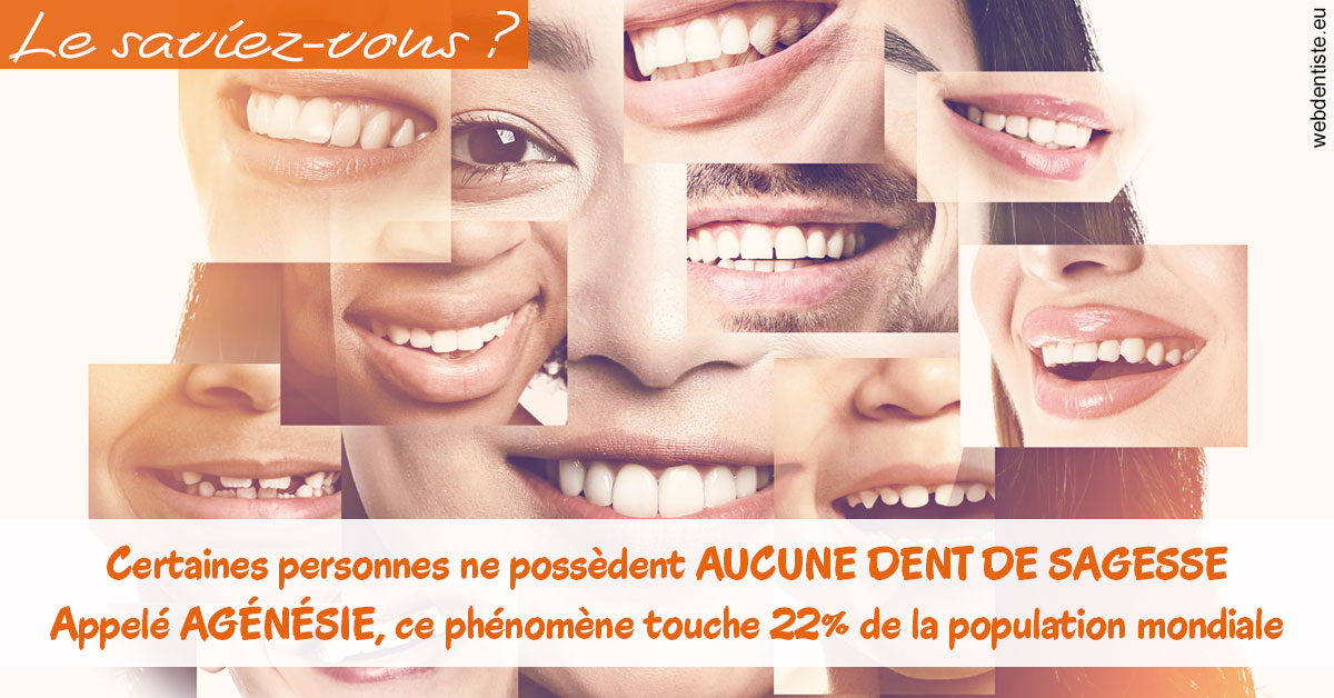 https://www.dr-grenard-orthodontie-gournay.fr/Agénésie 2