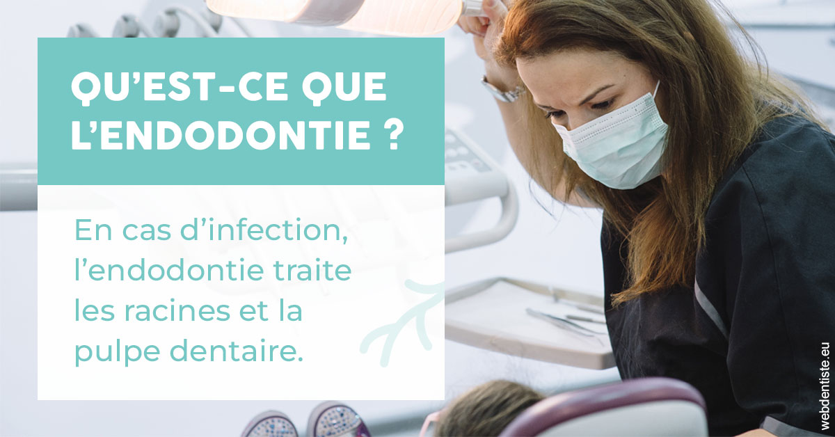 https://www.dr-grenard-orthodontie-gournay.fr/2024 T1 - Endodontie 01