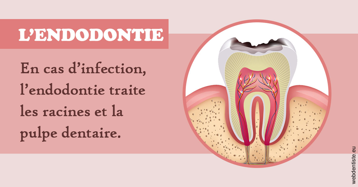 https://www.dr-grenard-orthodontie-gournay.fr/L'endodontie 2